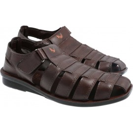 WALKAROO  Men Brown Sandal 13505 